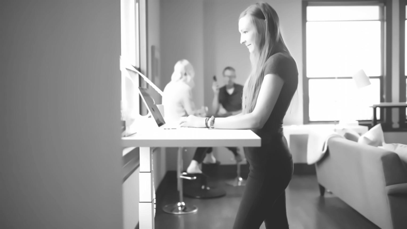 Séance de formation en modélisation financière avec analyse de données en temps réel